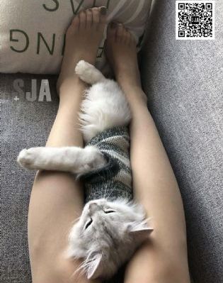 原来是琪琪视频_720P/1080P高清国语